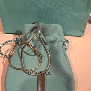 Tiffany & Co. Blue Pouch with Silver Necklace